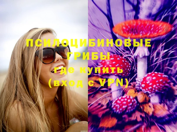 дмт Зерноград
