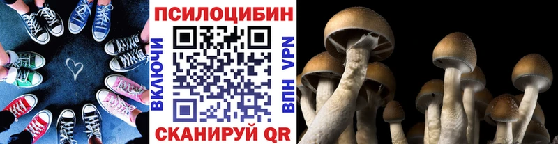 Псилоцибиновые грибы мухоморы  Купить закладки  Краснотурьинск 
